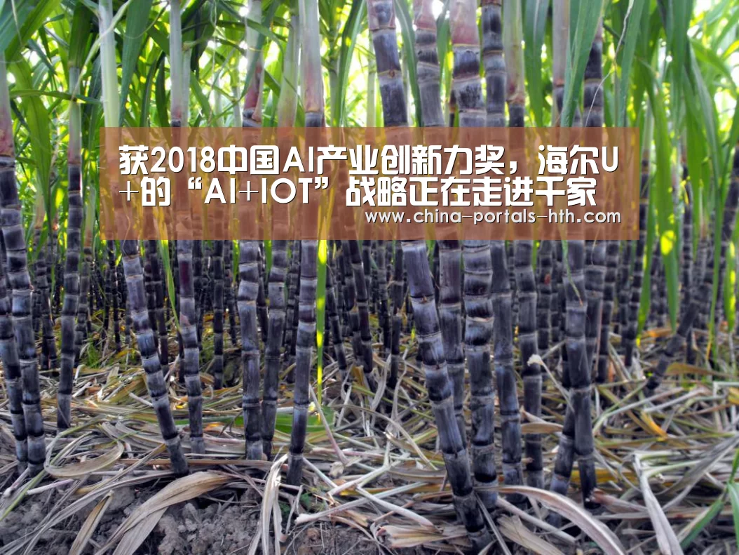 获2018中国AI产业创新力奖,海尔U+的“AI+IOT”战略正在走进千家万户_hth网页版(图1) hth网页版